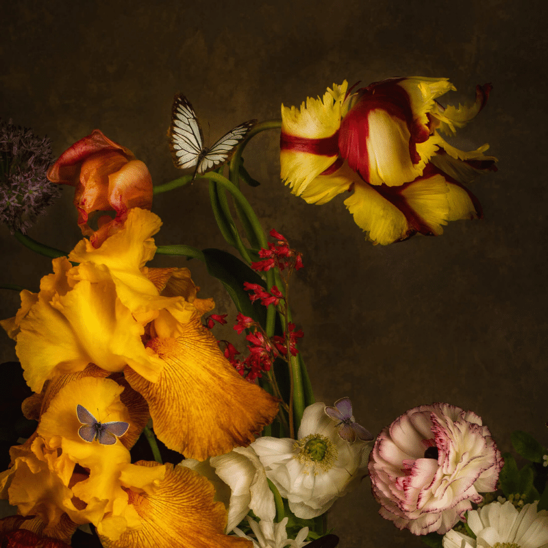 Fleurs de saison, Fleurs fraîches, Fleur et fleurs, fleurs locales, fleurs françaises, la fleur française, collectif de la fleur française, horticulteurs locaux, ferme horticole, made in France, fleur bio,