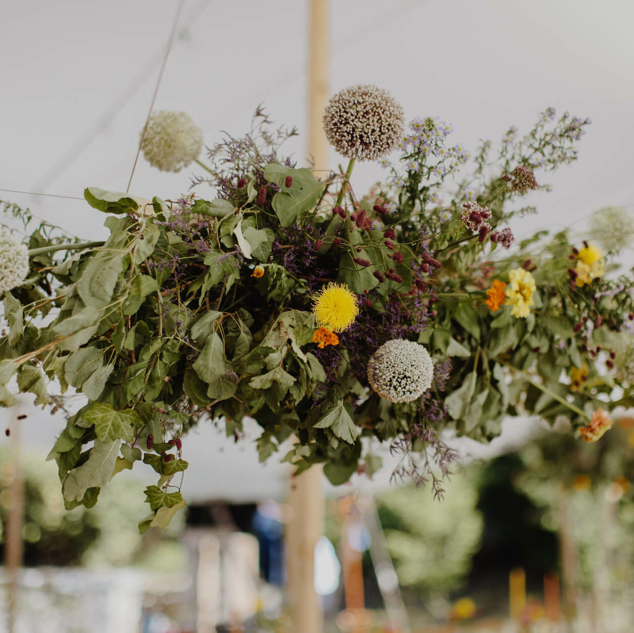 Votre mariage, Mariée, Pour un mariage, Mariés, Pour votre mariage, Salle de réception, Livraison de fleurs, Fleurir, Demoiselles, Lieu de réception, Décoration de mariage, Mariées, Demoiselles d honneur, Futurs mariés, Marié, Cérémonies, Décoration de table, Demoiselle, Table mariage,  Marier, Demoiselle d honneur, Convives, Mariage fleurs, Salle de mariage, Noces, Préparatifs, Jeunes mariés, Mariez, Notre mariage, Thème de mariage, Robe de mariée , Mariage romantique, Rose mariage, Bouquets de mariées, Lieu de la cérémonie, Cocktail , Réceptions, Réception de mariage, Table des mariés, Centre de table, Centres de tables, Orchidées, Bouquet de mariée, Boutonnière, Pétales, Fleurs de mariage, Centres de table, Couronnes, Bouquet de mariage, Boutonnières, Déco de table, Décoration de voiture, Déco de mariage, Cérémonie de mariage, Voiture des mariés, Autel, Bouquets de mariée, Cérémonie laïque, Buffets, Voiture mariage, Arche,  Chemin de table, Bancs, Fleur mariage, Centre de table mariage,  Guirlande, Décorations,  Vase, Décorer, Vases, Ruban, Décors, Rubans, Pots, Contenants, Bougies, Vase en verre, Arche, Céramique, Sublimer, Suspendre, Habiller, Piquer, Agrémenter, Fraîches, Fleuries, Originales, Champêtre, Vertes, Romantique, Fraîcheur, Fleuri , Pastel , Végétal , Séchées, Personnalisées, Ronds, Bohème, Originaux, Coloré, Décoratifs, Beau bouquet, Décoratif, Champêtres,