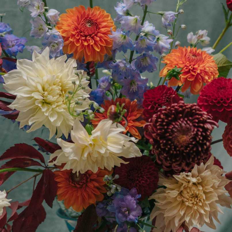 abonnement, abonnement floral, abonnements floraux, abonnement bouquets de fleurs, abonnement bouquets colorés, abonnement bouquets fleuris, bouquets fleurs de saison, bouquet ecoresponsable, bouquets ecoresponsables, bouquets de fleurs, bouquet de fleurs, composition florale, fleurs coupées, bouquet rond, créations florales, art floral, arrangement, champêtre,  joli bouquet, création florale, arrangements, centre de table,  arrangement floral, arrangements floraux, fleurs partout, décorations florales, champêtres, beau bouquet de fleurs, beaux bouquets, bouquets ronds, beau bouquet,  bouquet de fleur, compositions de fleurs, fleuries, fleuri, fraîcheur, coupées, vertes, originales, séchées, originaux, ronds,  senteurs,  cultivées, parfumées, romantique, oranges, colorées,  intemporel, colorés, petits prix, nebbia, nebbia studio, designer floral, designer floral annecy, magasin de fleurs, fleuriste annecy, magasin annecy, fleuriste engagé, la fleur francaise