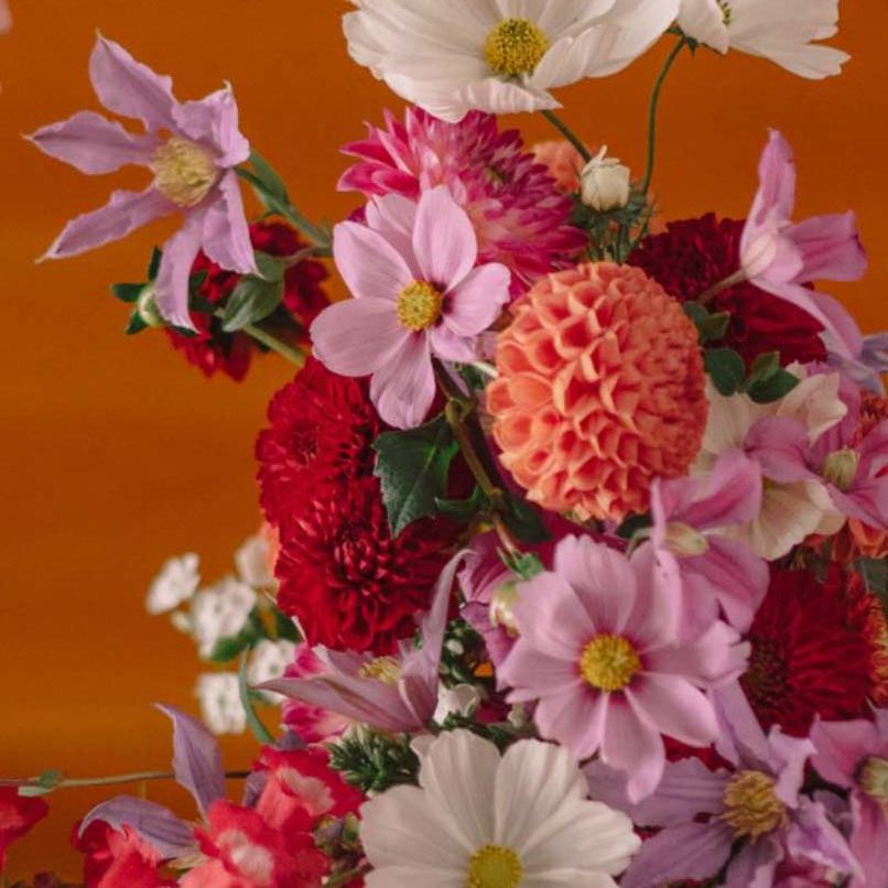 roses, tulipes, lys, roses rouges, tiges, feuillage, plantes vertes, orchidées, bouquet de roses, fleurs et plantes, pétales, orchidée, feuillages, renoncules, pampa,  pastel, exotiques, aquarelle, fleurs en france, artificielles, eucalyptus, roses blanches, pivoines, amaryllis, fleurs blanches, plantes vertes et fleuries, ligne de fleurs, pivoine, décorations, couronnes, fleurs naturelles, végétal, fleurs séchées, fleurissement, muguet,  image bouquet de fleurs, fleur bouquet, hortensia, fleurs exotiques, fleurs artificielles, bouquet Annecy, fleurs fleuriste, joli bouquet de fleurs, bouquet original, personnalisées, bouquets de roses, bouquet composé, gerbe de fleurs, magnifique bouquet, fleurs bouquet, anthurium, gypsophile, nebbia, nebbia studio, fleuriste, fleuristes, artisan fleuriste, artisans fleuristes,abonnement, abonnement floral, abonnements floraux, abonnement bouquets de fleurs, abonnement bouquets colorés, abonnement bouquets fleuris,
